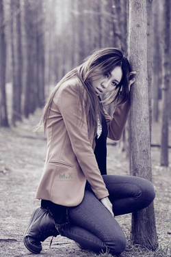 无需下载直接进入的网站平台展示